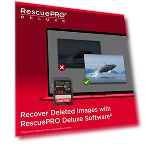 Extreme PRO SDXC UHS-I Memory Card — CompactFlash Storage, SanDisk