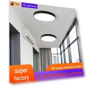 Individual LED Ceiling Light with Voice and Motion Sensor — Overhead Lighting, Toys Space