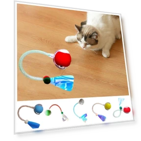 Interactive Rolling Ball for Pets — Balls, Jiaqiinfee