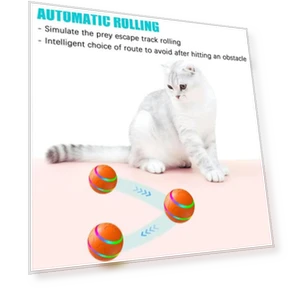 Interactive Smart Ball for Dogs — Balls, Yoga Da
