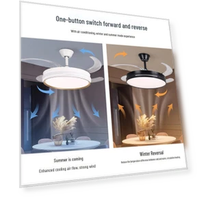 Smart Silent Ceiling Fan with Invisible Blades and Lighting — Ceiling Fans, Polaris star