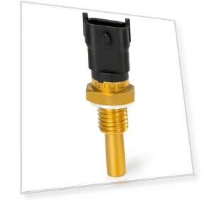 Temperature Sensor Switch — Air Bag, Skyfree