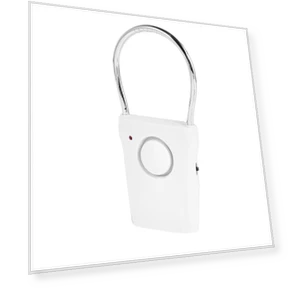 Touch Handle Alarm — Smart Home Security, Zen-Japan Electronics