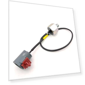 Knock Sensor — Plates with Sensors, Tautoparts