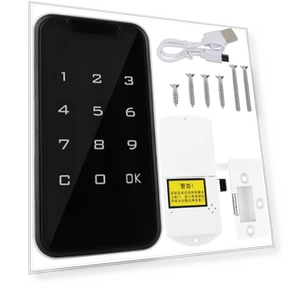 Electronic Password Lock — Locks, CosyHome