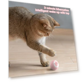 Smart Pet Toys — Balls, Two Shy Girl