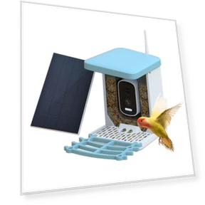 Smart Bird Feeder with Camera — Outdoor & Wildlife Cameras, Neoglint
