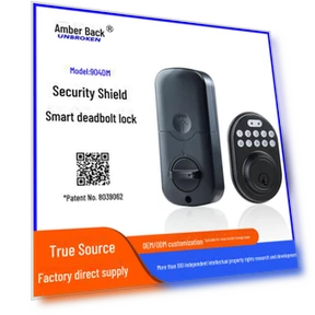Smart Deadbolt Lock with Patented Password Protection — Padlocks & Hasps, Apex Gear