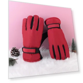 Winter Insulated Windproof Motorcycle Gloves — Gloves, Take One