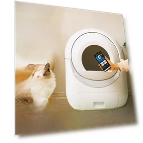 Fully Enclosed Automatic Cat Litter Box — Waste Bins, Perfect choice for your home