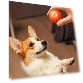 Automatic Moving Jumping Rolling Smart Ball Toy — Balls, Home Furnishing Department Mall