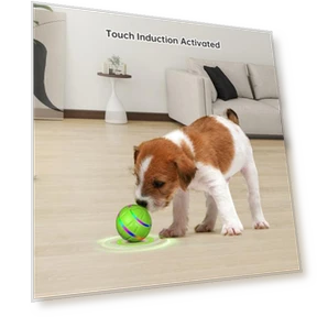 Interactive Dog Ball Toy — Balls, Love Pet House