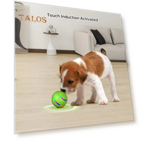 Interactive Dog Toy Ball — Balls, Talos home Garden