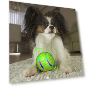 Interactive Dog Toy Ball — Balls, Pet park