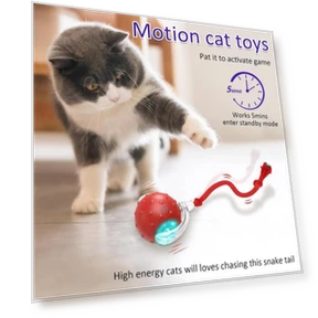 Interactive Rolling Toy for Cats — Cat Playthings, All in Watch