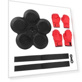 Smart Musical Boxing Trainer — Boxing Training Gear, ZuiyouBaby1