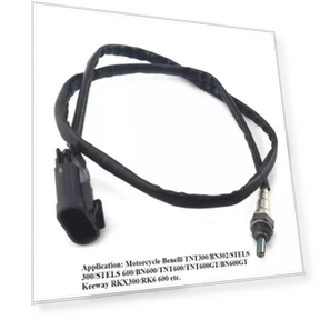 Oxygen Sensor — Exhaust Gas, Forest Sunshine Home