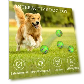 Interactive Dog Toy Ball — Balls, Dainty