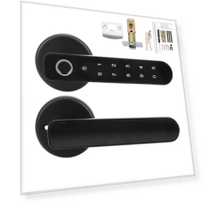 Smart Biometric Door Lock — Biometric Security, TOMTOP JMS