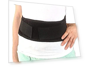 Smart Lumbar Support Belt — Back Braces, Hidden Nest