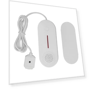 Water Leak Sensor — Water Leak Detection Systems, Neoglint