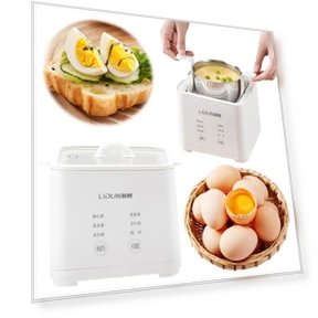 Smart Egg Cooker — Egg Cookers, Chic Home