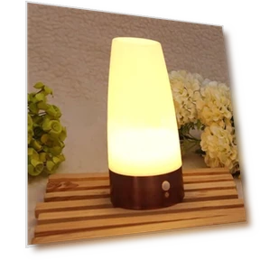 Smart Wireless Motion Sensor Night Light — Night Lights, TOMTOP JMS