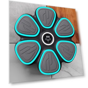 Smart Music Boxing Trainer — Boxing Training Gear, SunshineTek