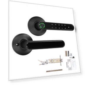Smart Lock Fingerprint Keyless Access — Smart Home Security, GoolRC