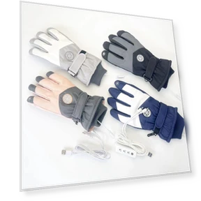 Electric Ski Gloves with Heating and Touch Screen — Gloves & Mittens, StrideBox