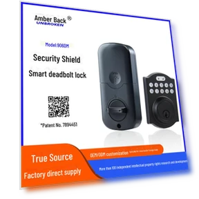Electronic Smart Deadbolt Lock — Deadbolts, StrideBox