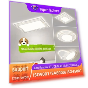 Ultra-Thin Smart LED Ceiling Light — Overhead Lighting, All gears