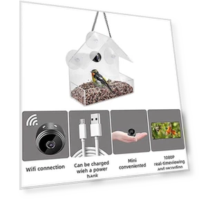 Smart Feeding House — Cameras & Monitors, Theme Found
