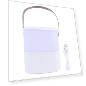 Adjustable Touch Lamp with Handle — Desk & Table Lighting, Pc1ZY