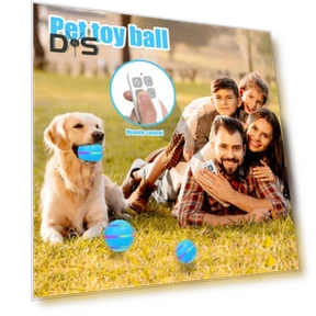 Automatic Jumping LED Ball for Dogs — Balls, Kitty Cat House