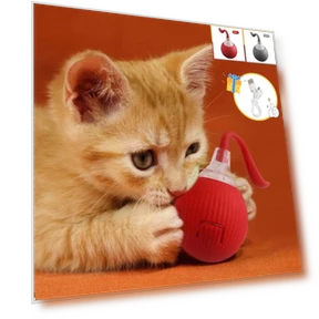 Automatic Rolling Ball for Cats — Cat Playthings, YJMP Top