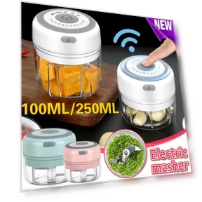 Electric Mini Chopper — Choppers, Angel 05