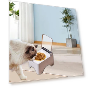 Elevated Cat Food Bowl with Stand — Feeding Supplies, Closet of Beauty