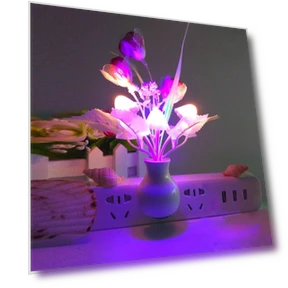Night Light with Mushroom Mount — Night Lights, TOP-MALL-001