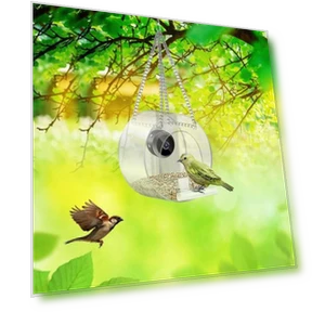 Smart Bird Feeder with Night Vision Camera — Outdoor & Wildlife Cameras, I love My Pet