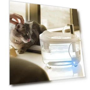 Automatic Cat Filter, Silent Pump Water Bowl — Feeders, Jinkuinduy