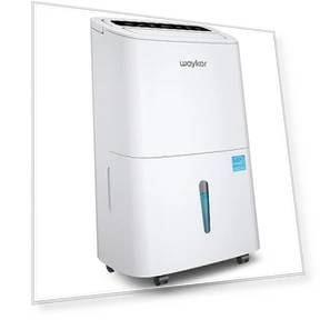 Energy Star Home Dehumidifier — Air Moisture Control, Waykar
