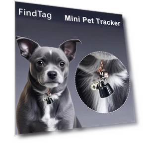 Smart Pet Collar — Trackers, Didadi 2