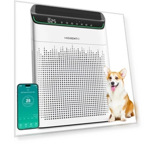 Air Purifier for Large Room — Activated Carbon Air Purifiers, MORENTO