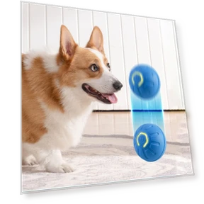 Gravity-Powered Jump Balls for Dogs — Balls, Jinkuinduy
