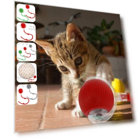 Interactive Cat Toy Ball — Cat Playthings, AE Selection