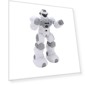 RC Robot Toy — Interactive Figures & Robots, Sport2ZY