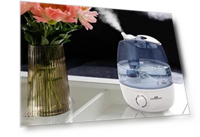 Ultrasonic Bedroom Humidifier — Air Moisturizers, Air Innovations