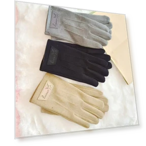 Windproof Fleece Cycling Gloves with Touchscreen — Gloves, Millioner