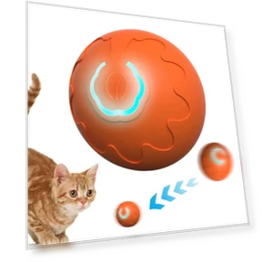 Electric Rolling Ball Dog Toy — Balls, langong